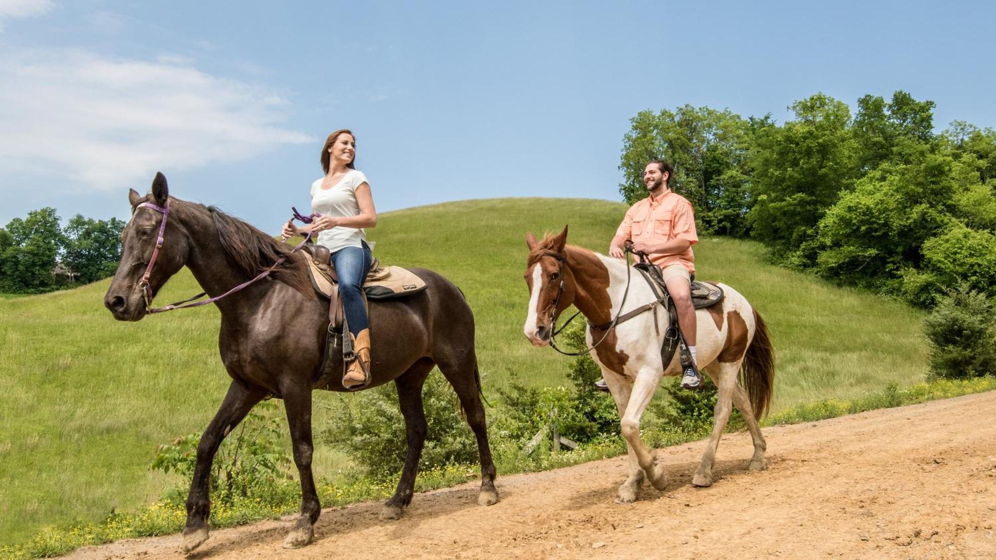 Perfect Place By Eden Crest Sevierville Exterior foto